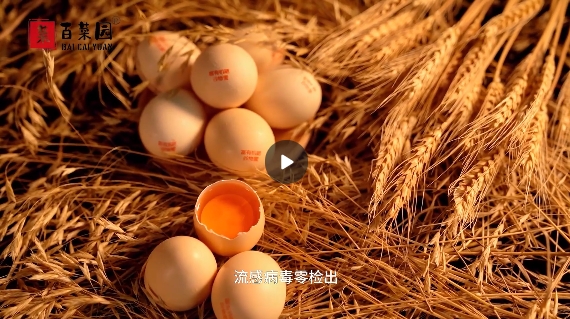 &#21315;&#20159;&#23448;&#32593;&#45;&#21315;&#20159;&#40;&#20013;&#22269;&#41;&#19968;&#31449;&#24335;&#26381;&#21153;&#23448;&#32593;